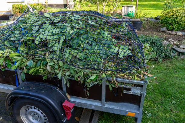 Professional Junk Removal Services in White Oak, MD